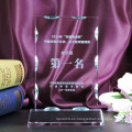 Trofeo de cristal de encargo del premio de cristal nuevo para el regalo del recuerdo del negocio